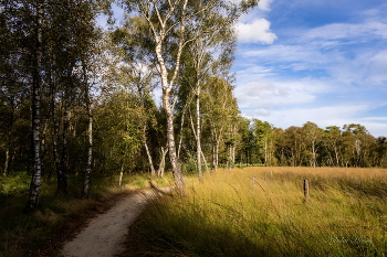 Вокруг заповедника / ***