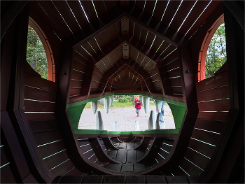 стать драконом / !!!