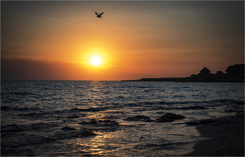 Черноморский закат / Крым