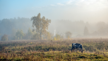 &nbsp; / Осенние туманы