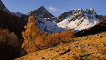 Осеннее утро / Архыз