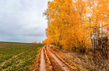 Вдоль полей и берёз. / ...