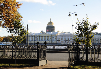 Вид из Румянцевского сада на город / Санкт-Петербург октябрь 2023