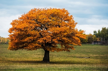 &nbsp; / п.Красницкий,Татарстан,Зеленодольский р-он