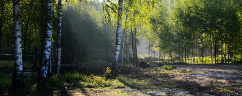 Весеннее утро.............. / Петербург. Парголово. Май