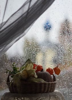Дождь за окном / ***