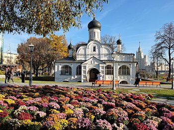 Хризантемы и храм / Фестиваль хризантем в Москве