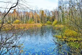 В последних числах октября ... / Осенний этюд ...