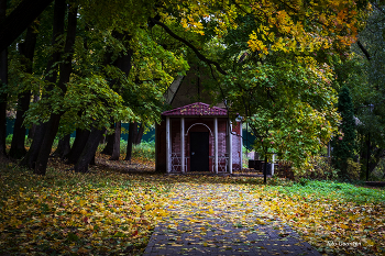 беседка / в парке утром