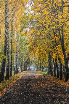 Октябрьское утро / дорожка, осенние деревья, мать с дочкой
