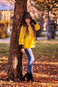 из альбома "логика листьев". / из фотосессии