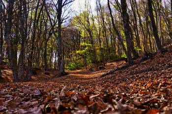 &nbsp; / Крым. Эльх-Кая