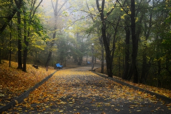 В аллеях осенних........... / Железноводск. Октябрь