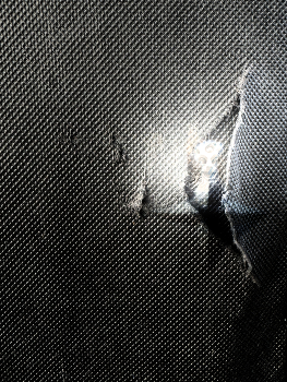  / In a net