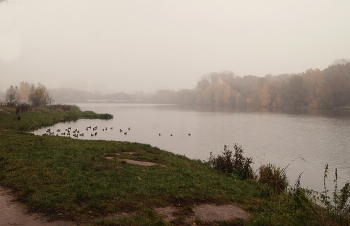 Туманно / Туманно
