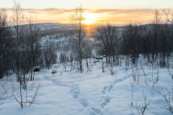 ноябрьское солнце / на мурманских сопках