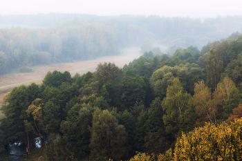 Осенний лес с видом на речку / Архивное фото