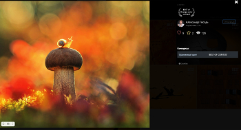 С Победой1 / Александр! Поздравляю Вас с победой 
 тематического конкурса 35AWARDS: Оранжевый цвет! Желаю Вам Здоровья,Удачи,Успехов...!