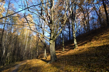 Погожий день / Прогулка