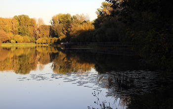 Пятый Иваньковский пруд / Покровское-Стрешнево