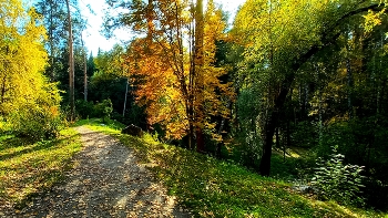 Ботанический сад / Осень Новосибирск