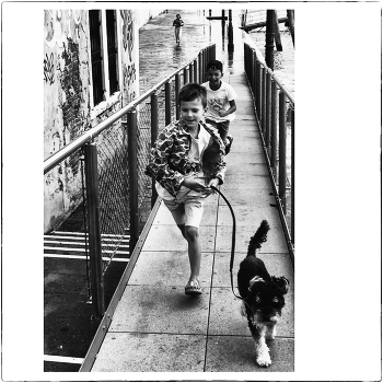 &nbsp; / стрит-фото, дети