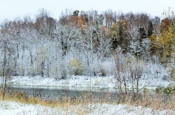 "Стоит, стыдясь, зима у входа и не решается войти..." / "Сухая, тихая погода.
 На улице, шагах в пяти,
 Стоит, стыдясь, зима у входа
 И не решается войти ..."
 Б.Пастернак