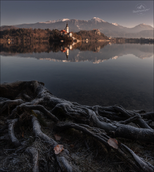 КОРНИ / Словения, оз.Блед
© https://phototravel.pro