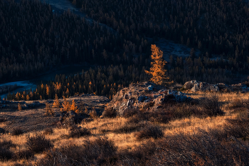 Провожая день. / Алтайская золотая осень в окрестности Курая.