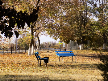 В осеннем парке... / Парк усыпан осенней листвой
