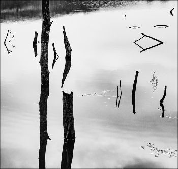 В тихом омуте черти водятся. / ...