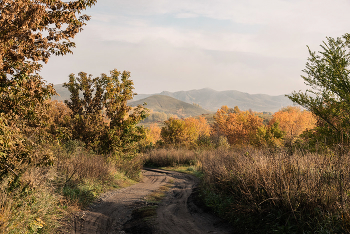 Осеннее утро / Октябрь