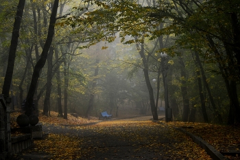 Утром ненастным.... / Железноводск. Октябрь