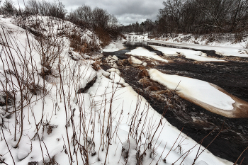 Жизнь вокруг / Описание