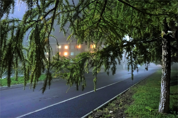 Осенний вечер / Туман осенний. В окнах свет.
Пустынна улица. Прохлада.
Тепло на кухне: чай, багет...
Для счастья много ли нам надо?