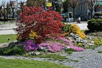 &nbsp; / Эта клумба разделяет памятники Св. Клименту и Св. Кириллу и Мефодию и расположена напротив городского причала.