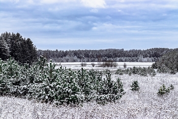 За горизонт... / Пейзажи зимы - это все оттенки белого искристого снега, холод льда и чистота зимнего воздуха.