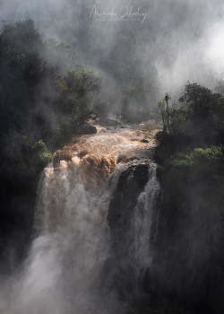 У водопада / Водопады Игуасу, Бразилия