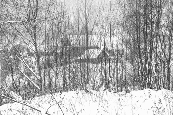 Жизнь вокруг / Описание