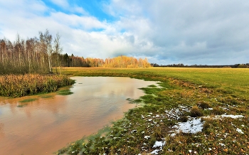 &quot;Откуда столько грусти в октябре ...&quot; / &quot;Березы сыплют золото в казну,
 дубы червонцы нехотя бросают,
 хоть небо в реку льет голубизну,
 Но не пройдешь по берегу босая ...&quot;
 Л.Нелен