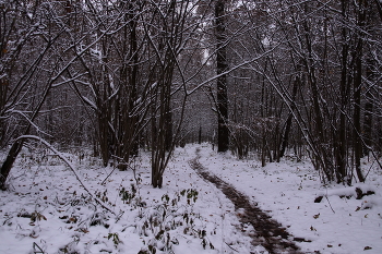 Тропиночка / Тропиночка
