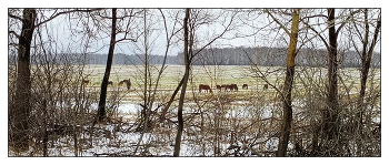 На воле / В межсезонье. Южный Урал.