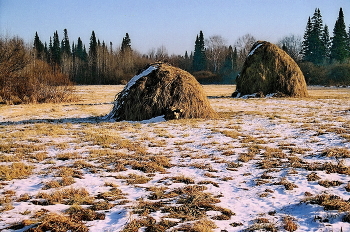 Первый снег. / Томская область.