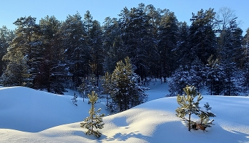 декабрь / Сибирские снега