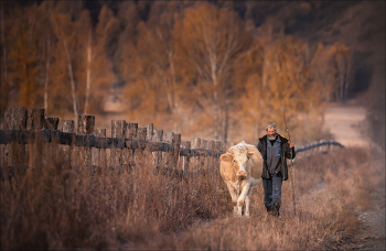Домой .. / Горный Алтай, Уймонская долина.
 © https://phototravel.pro/phototravel2024/