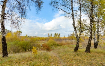 ЧЕРЕЗ ОСЕНЬ / Октябрь