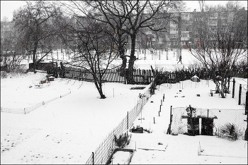 прошлогоднее фото / ***