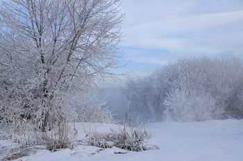 Морозная акварель / В морозный зимний день по берегам незамерзающих озер близ Шатурский ГРЭС появляются такие сказочные деревья. Прогулка здесь схожа с путешествиям по зимней сказке.