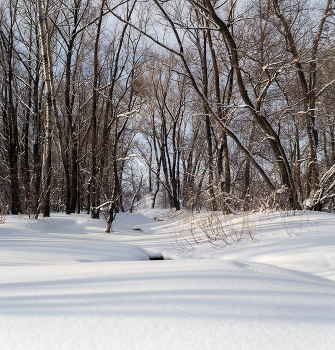 Январь / Речка зимой