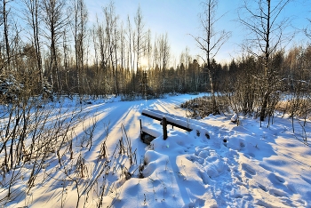&quot;На заснеженном пруду я отмечу Новый год в девственной тиши...&quot; / &quot;В наступающем году
 с первыми неделями,
 счастье каждого найдет,
 только не спеши.
 На заснеженном пруду
 зимними метелями,
 я отмечу Новый год
 в девственной тиши ...&quot;
 В.Зайченко